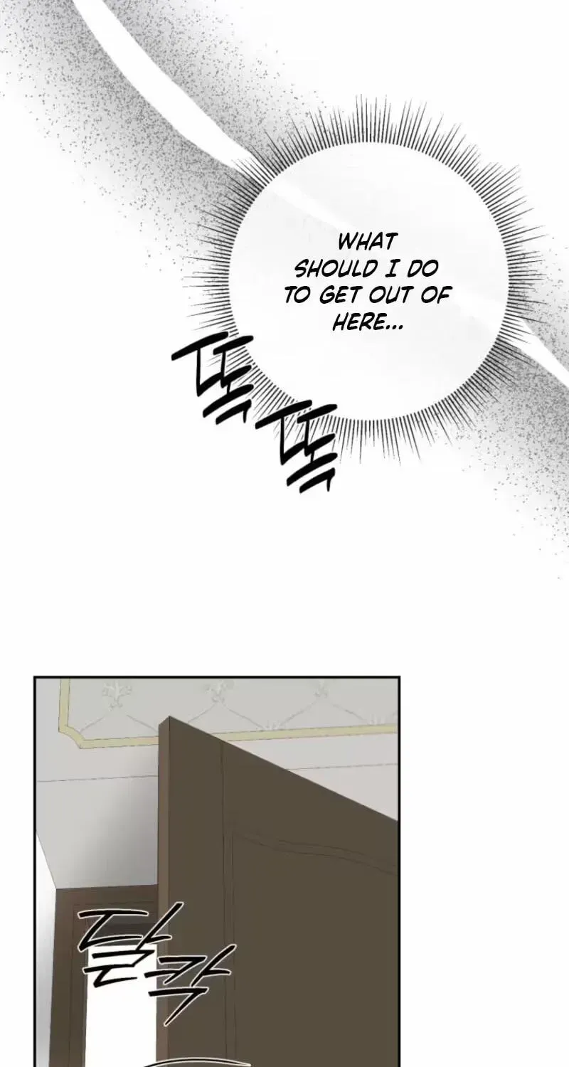 Read The Maid