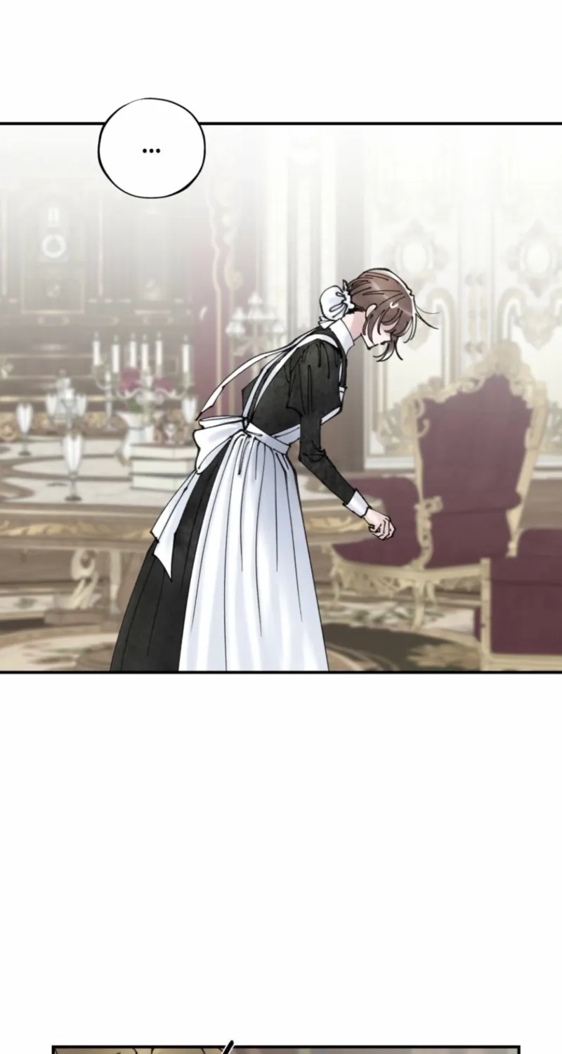 Read The Maid