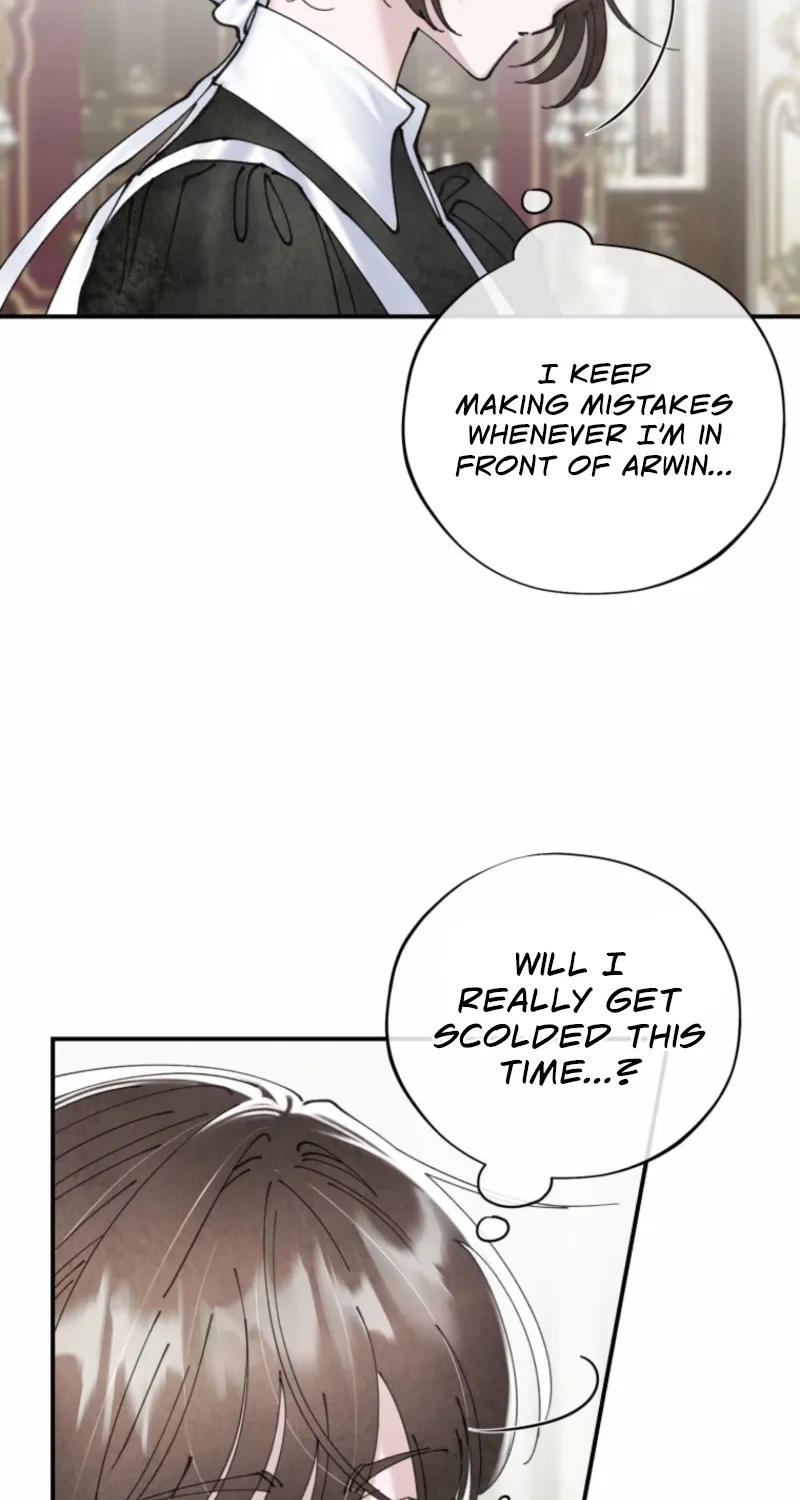 Read The Maid