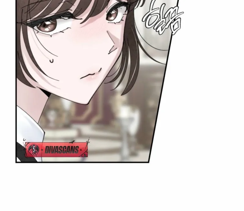 Read The Maid