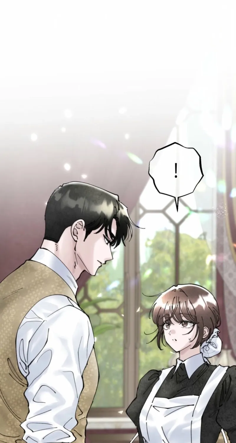 Read The Maid