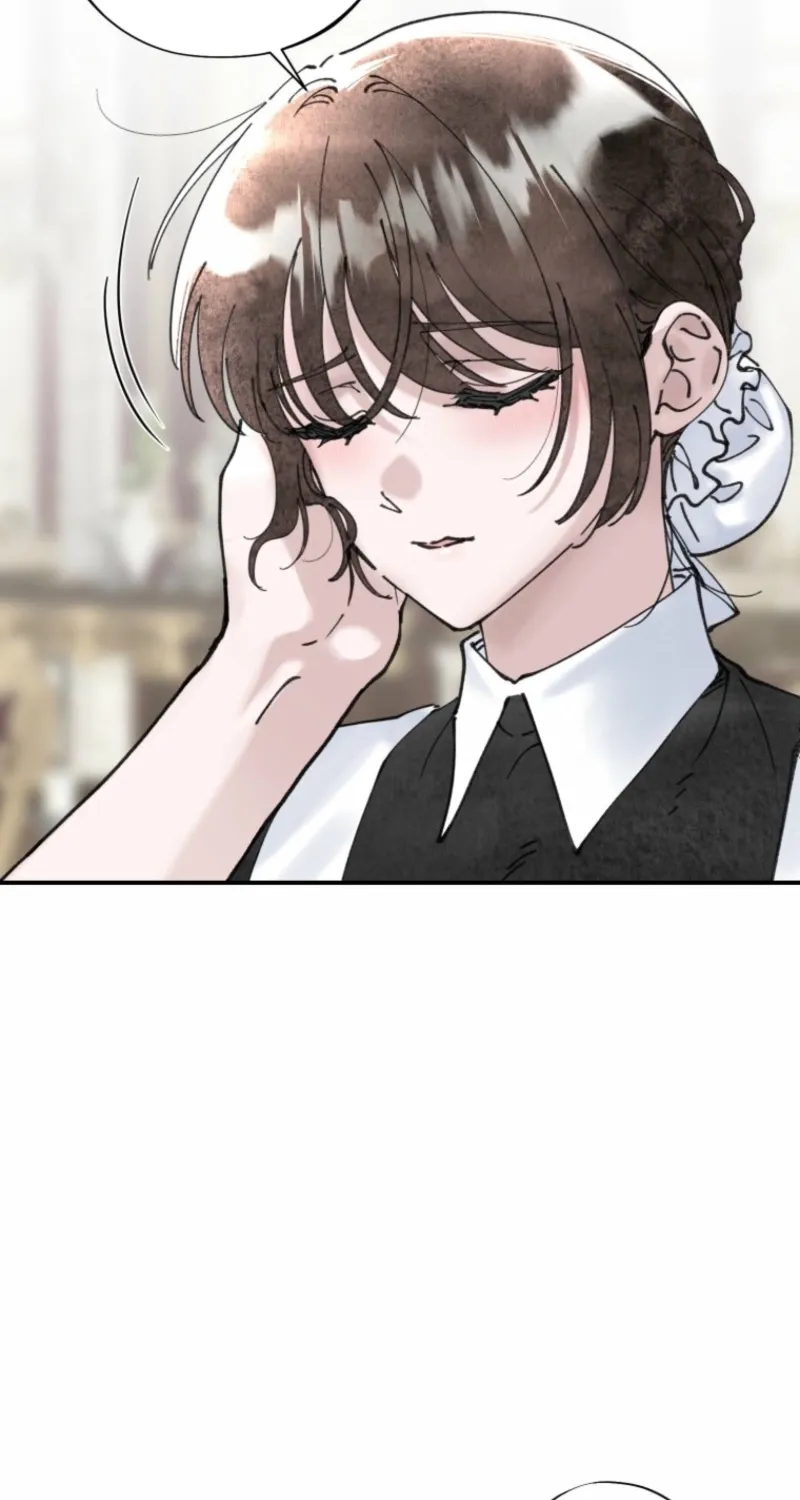 Read The Maid