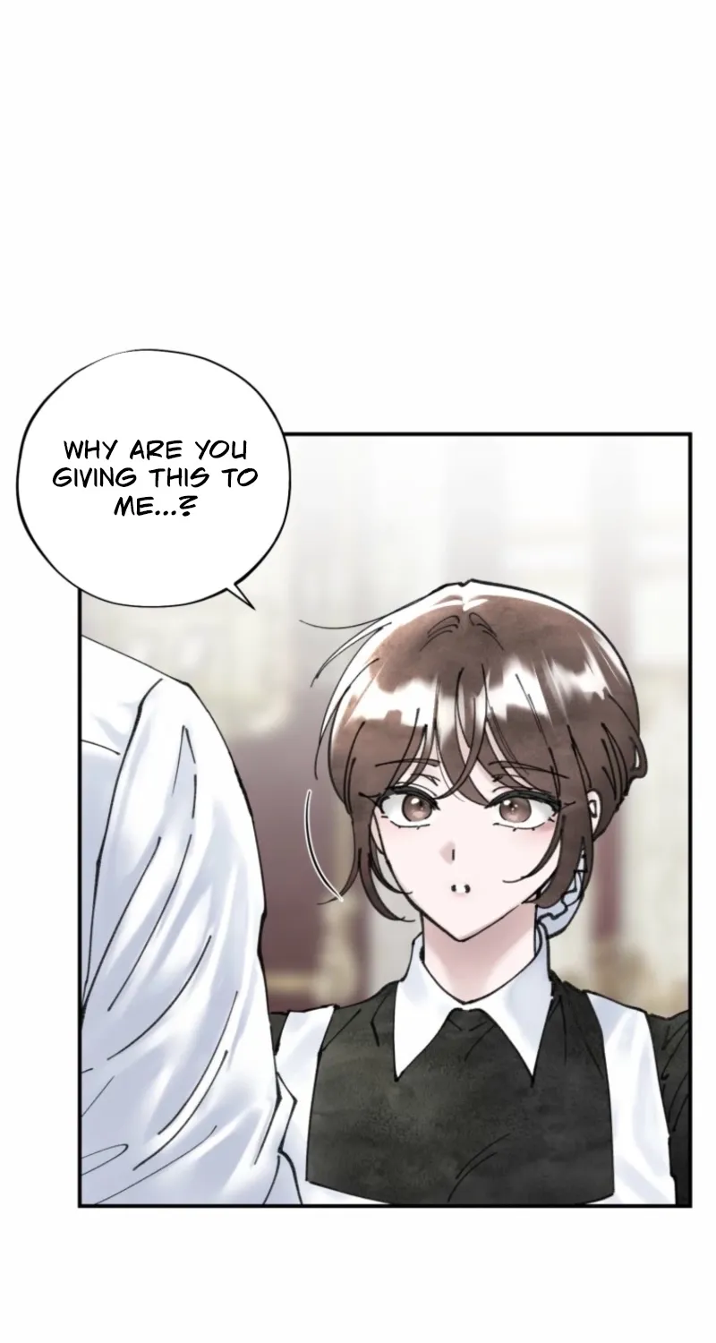 Read The Maid