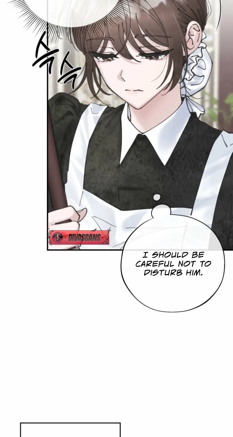 Read The Maid