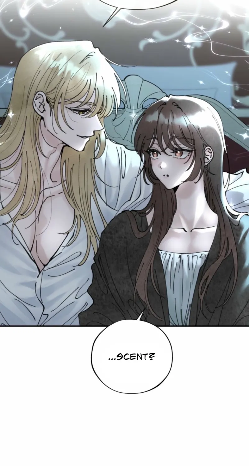 Read The Maid