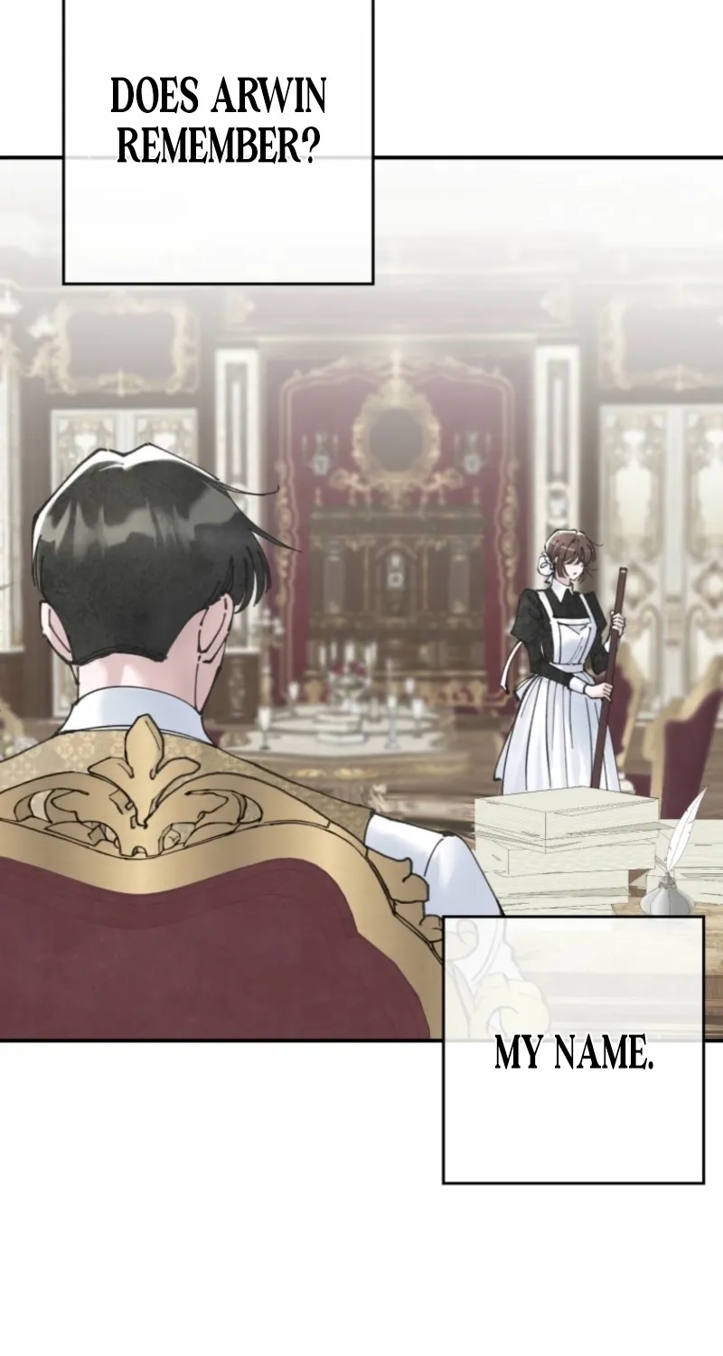 Read The Maid