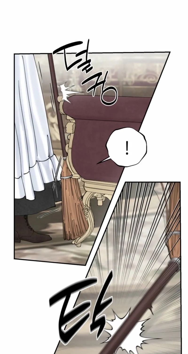 Read The Maid