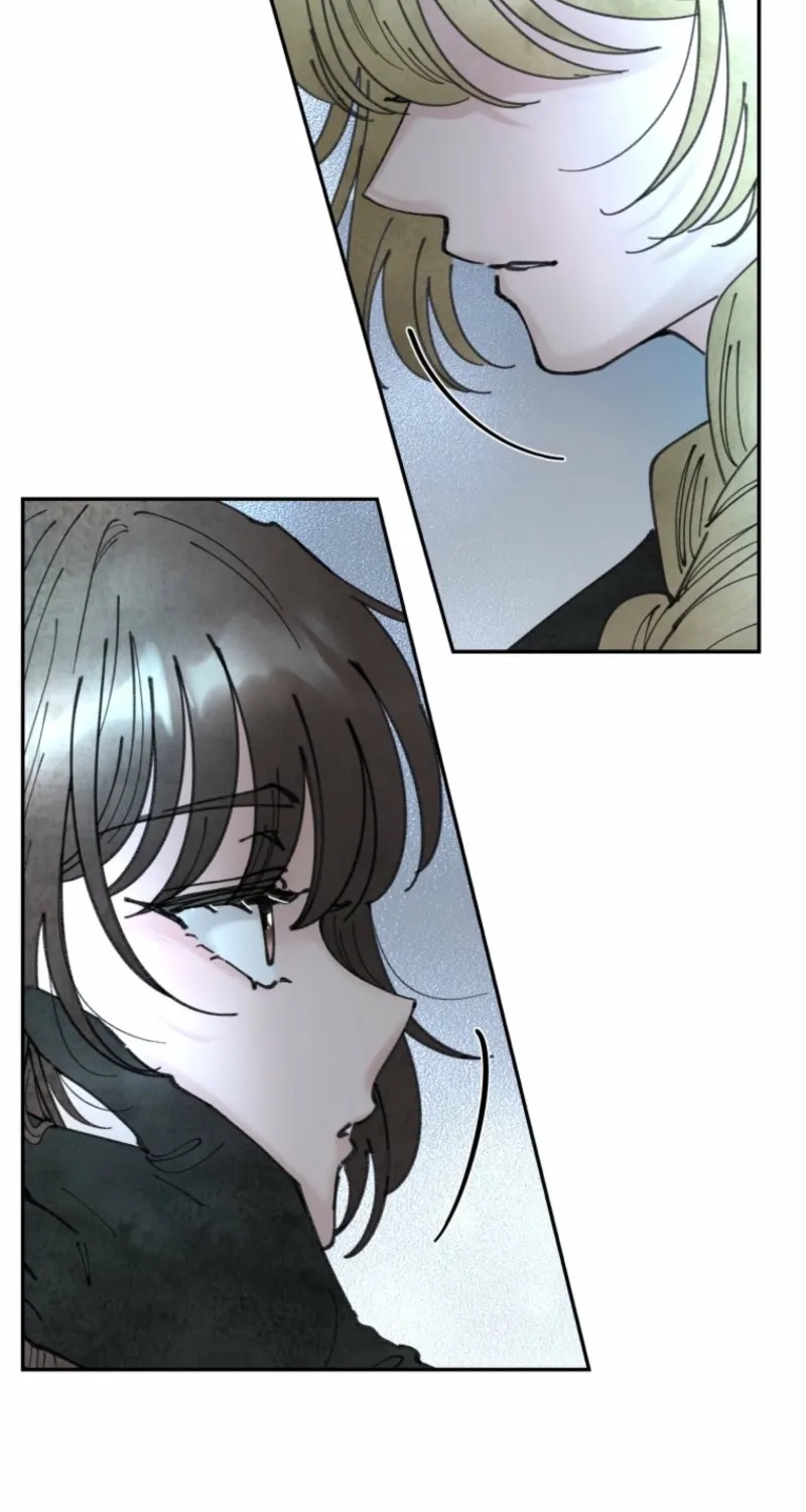 Read The Maid