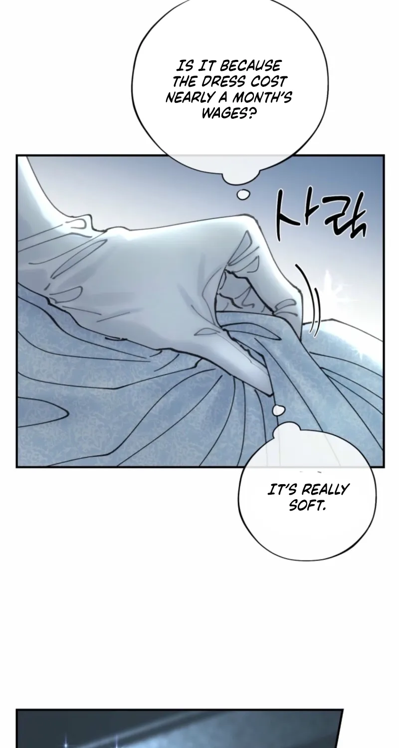 Read The Maid