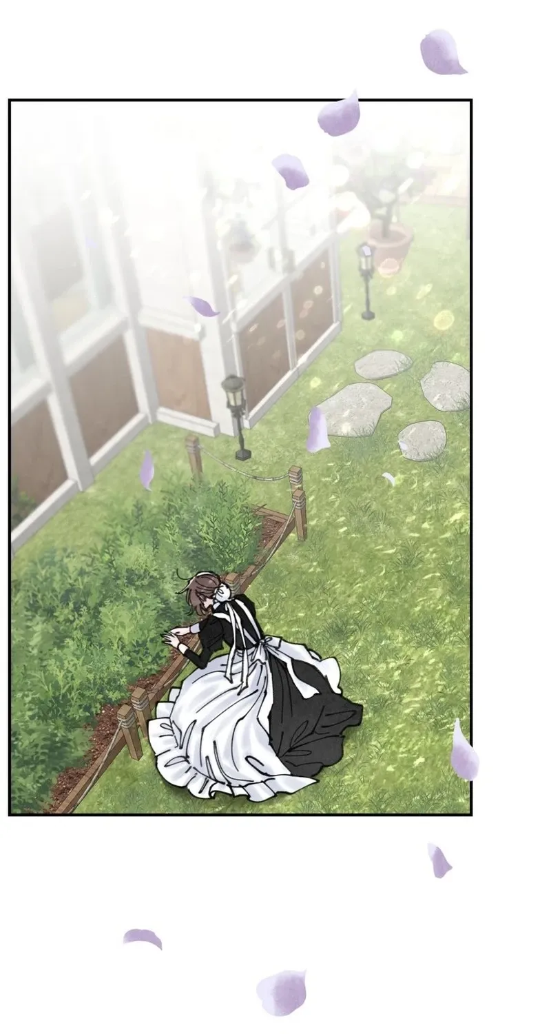 Read The Maid