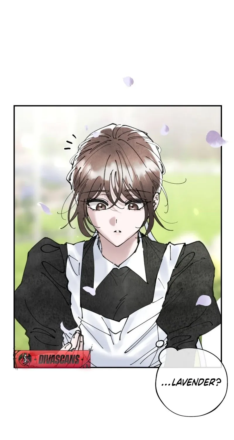 Read The Maid