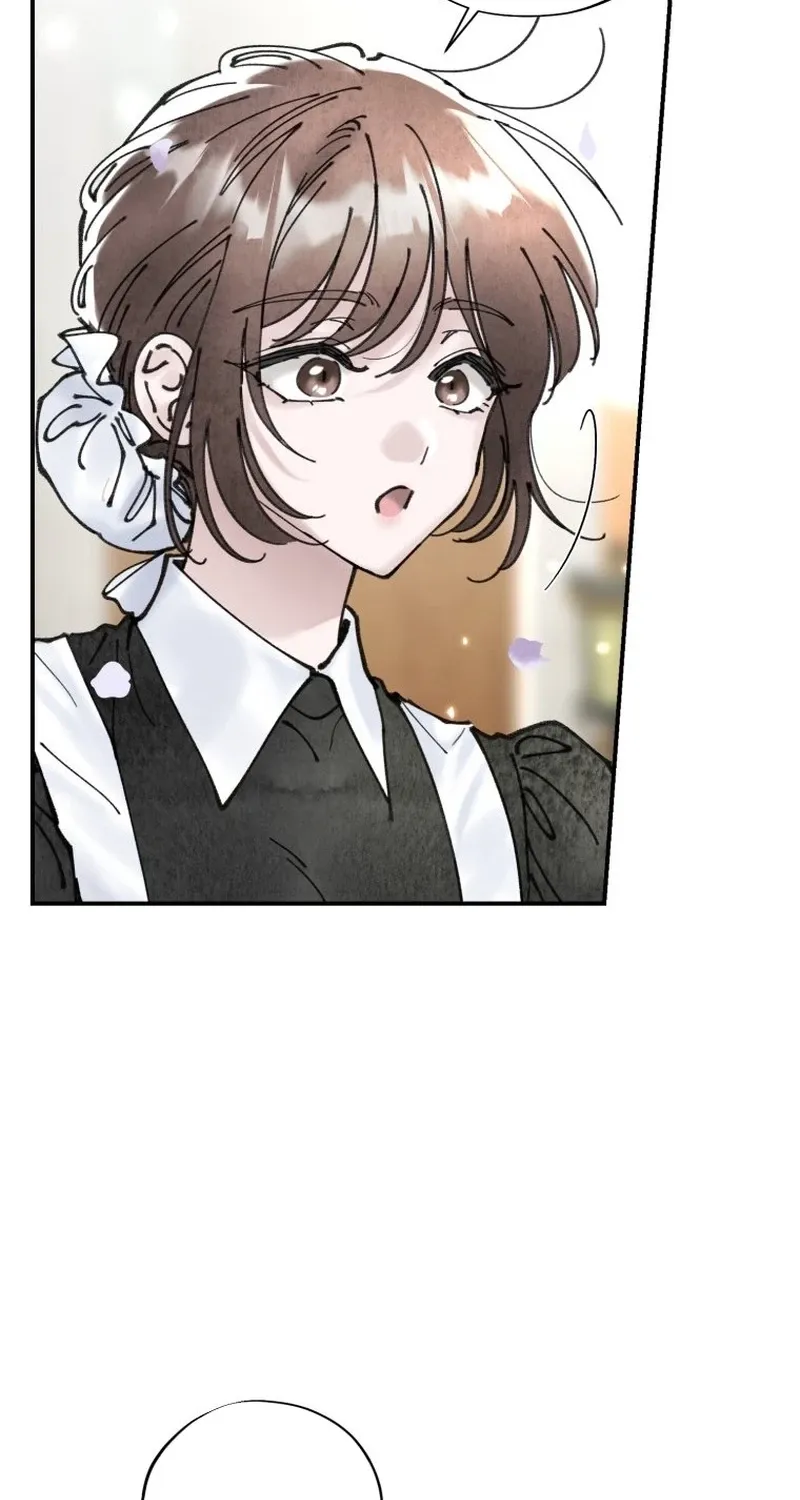 Read The Maid