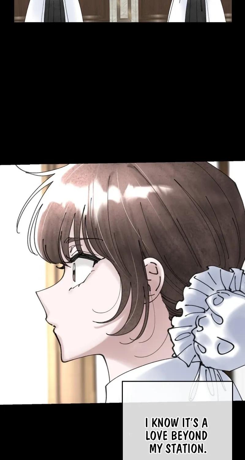 Read The Maid