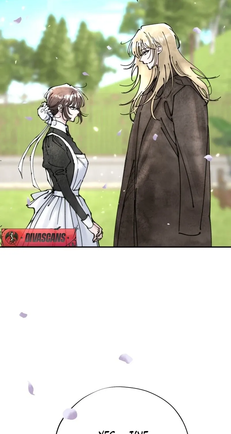 Read The Maid