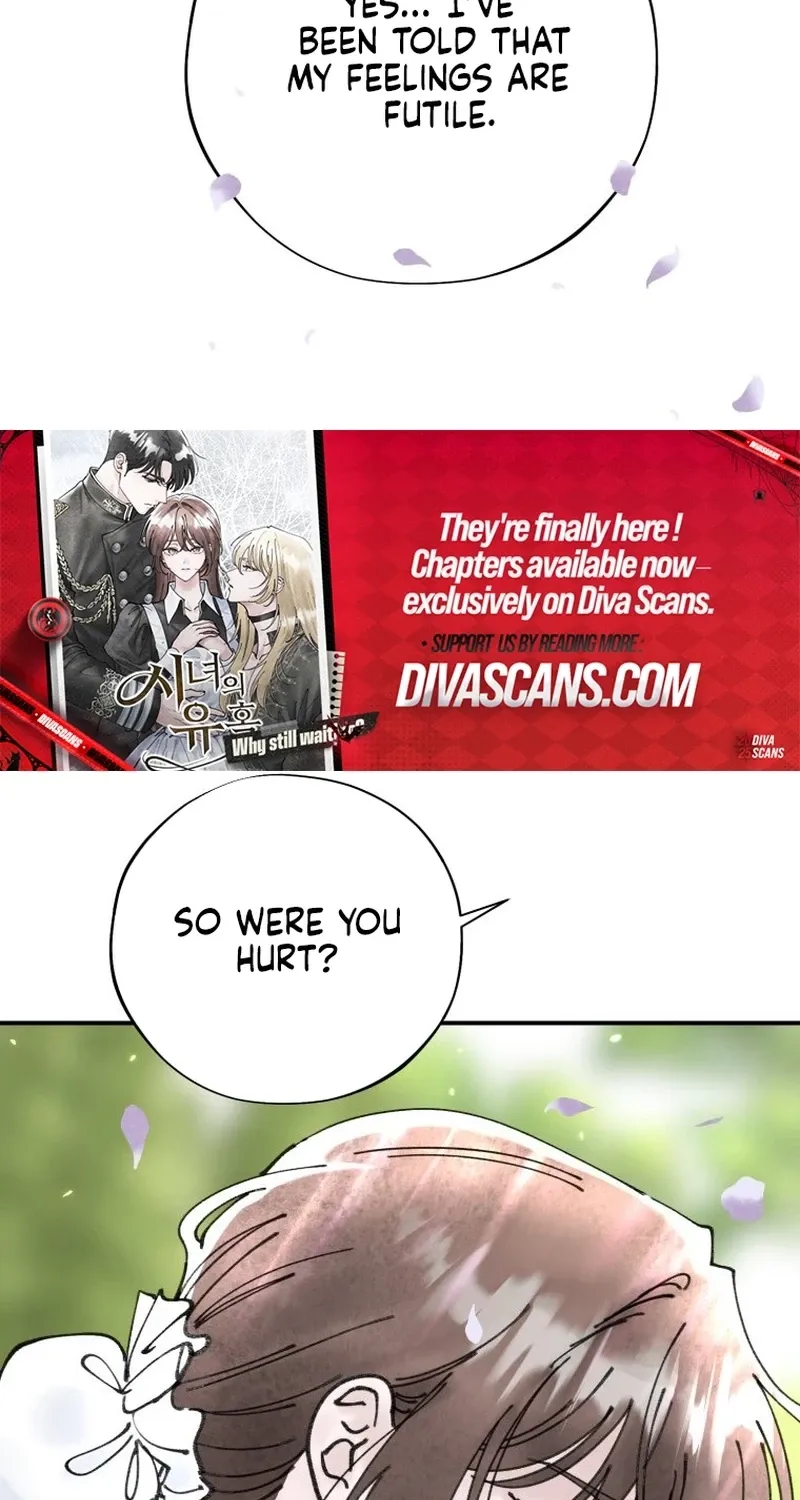 Read The Maid