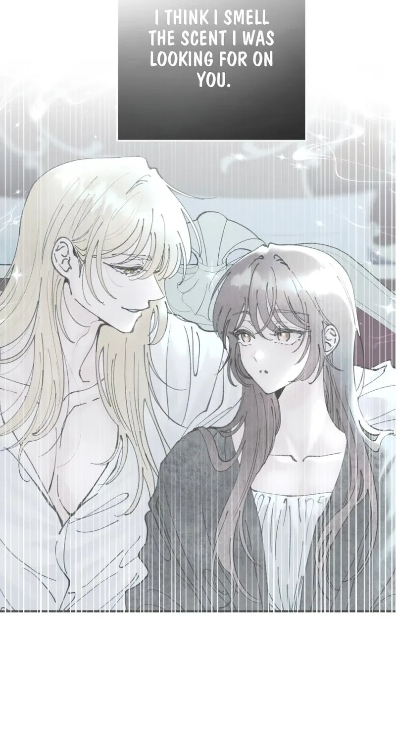 Read The Maid