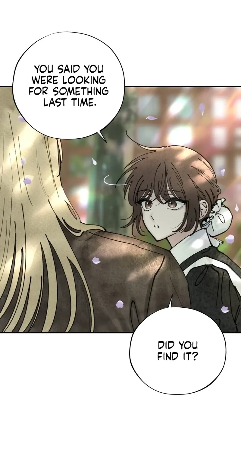 Read The Maid