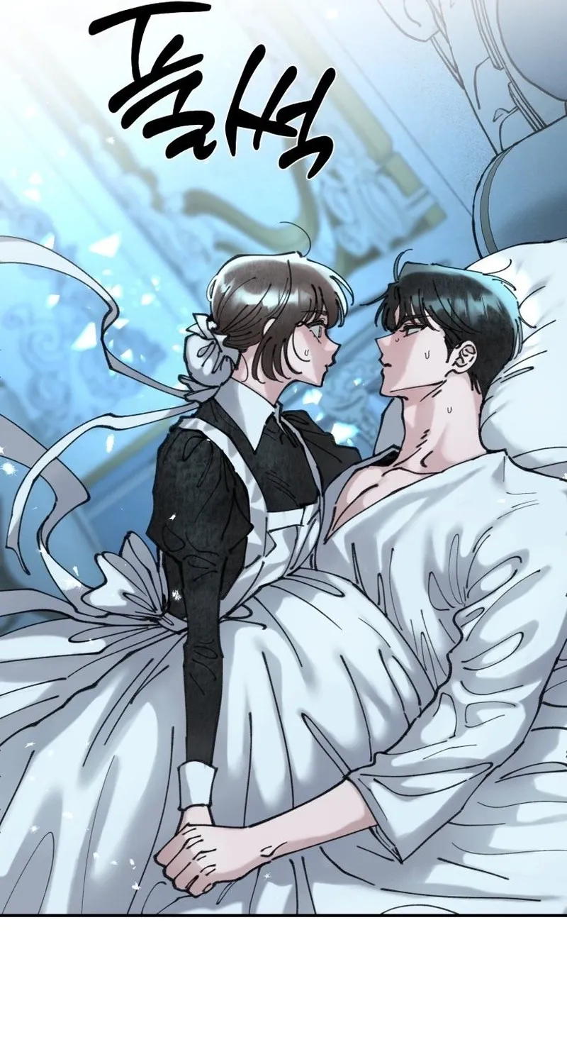 Read The Maid