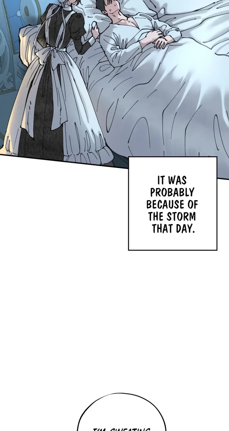Read The Maid