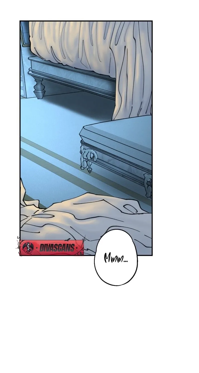 Read The Maid