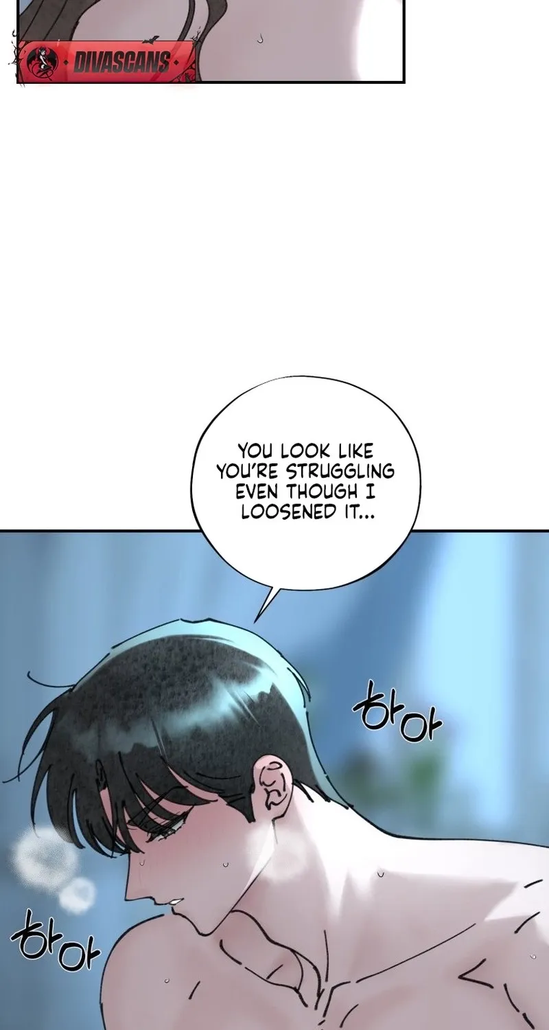Read The Maid