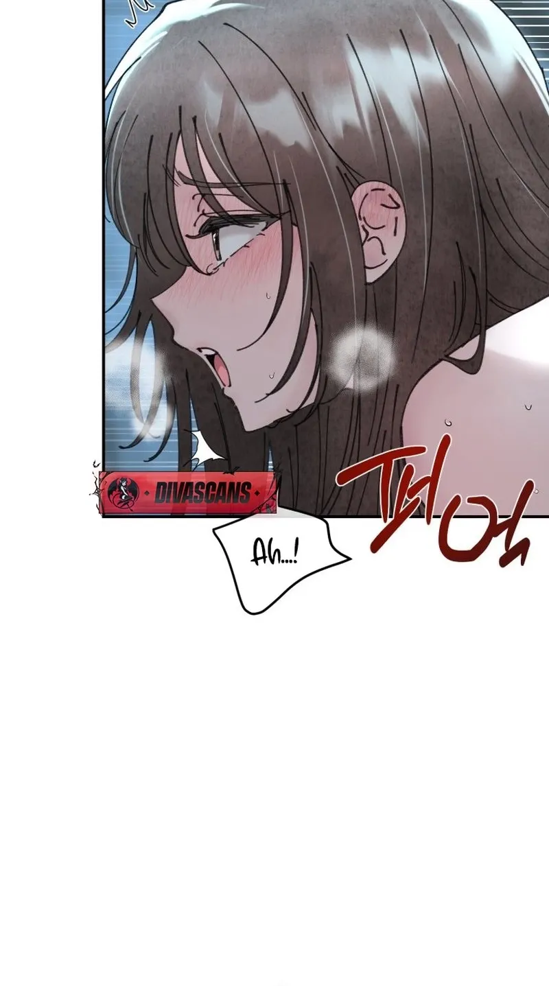 Read The Maid