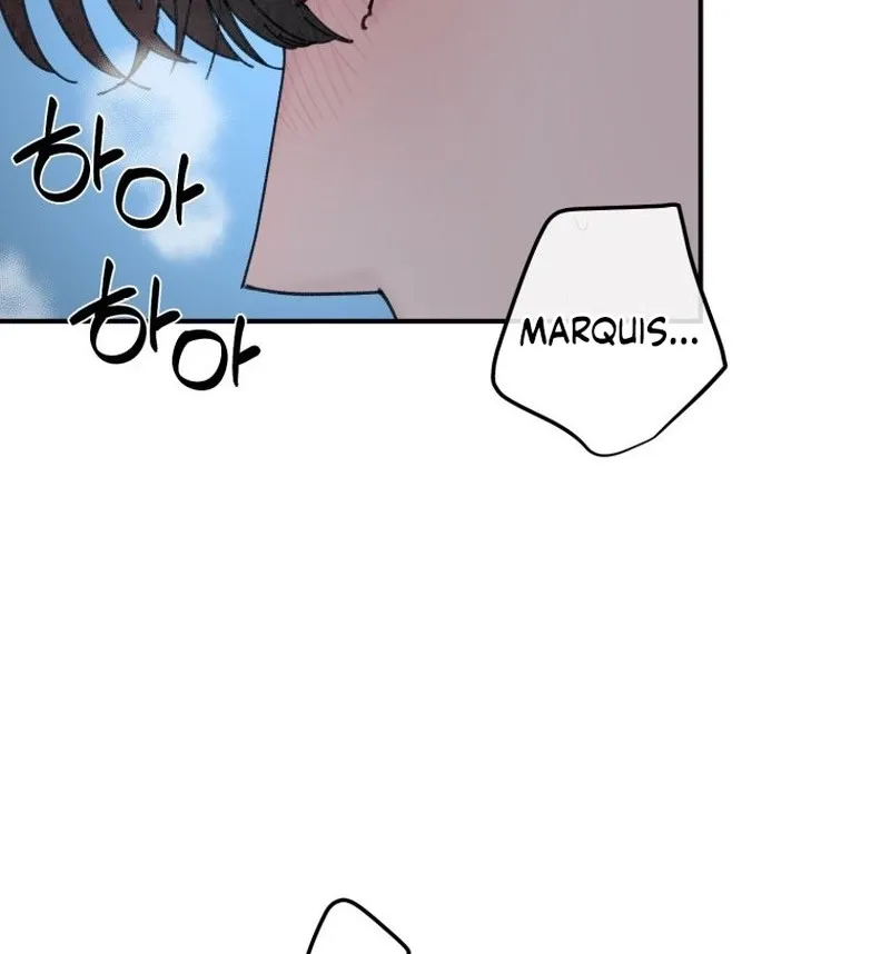 Read The Maid