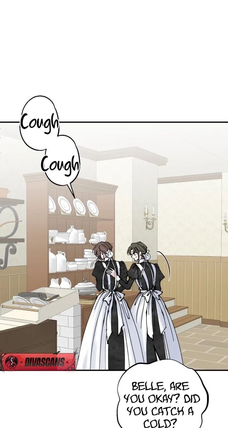 Read The Maid