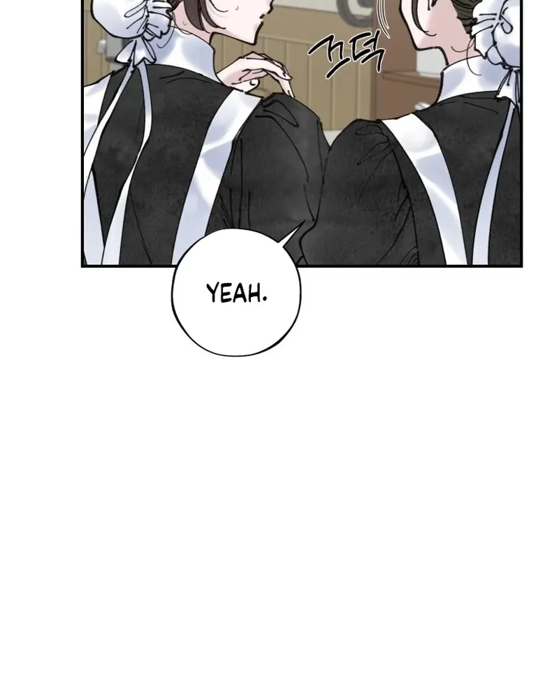Read The Maid