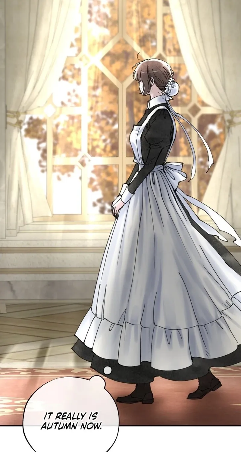 Read The Maid