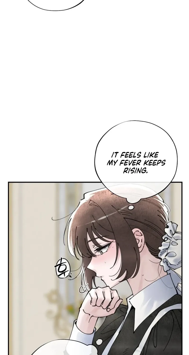 Read The Maid