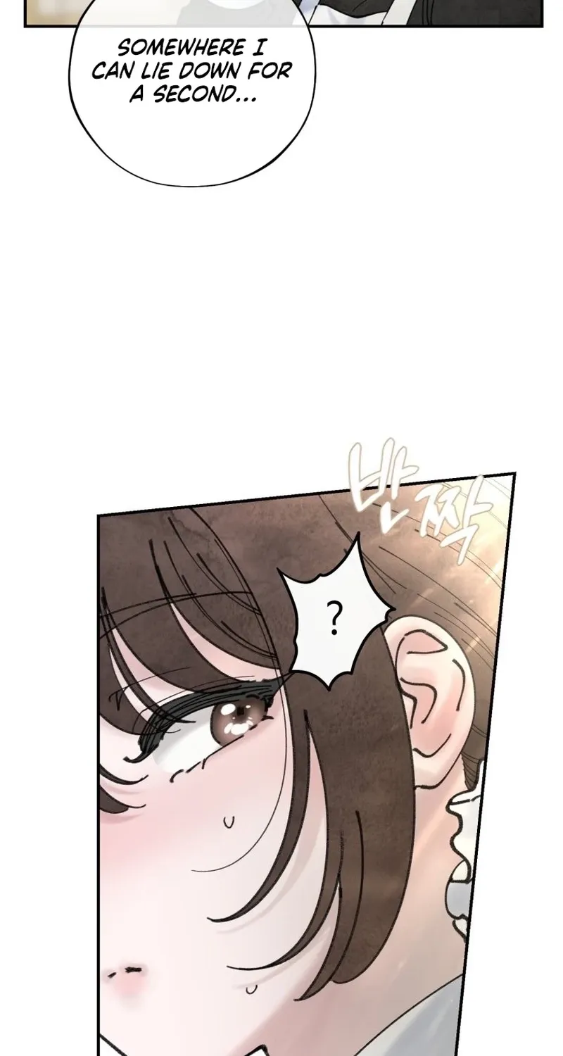 Read The Maid