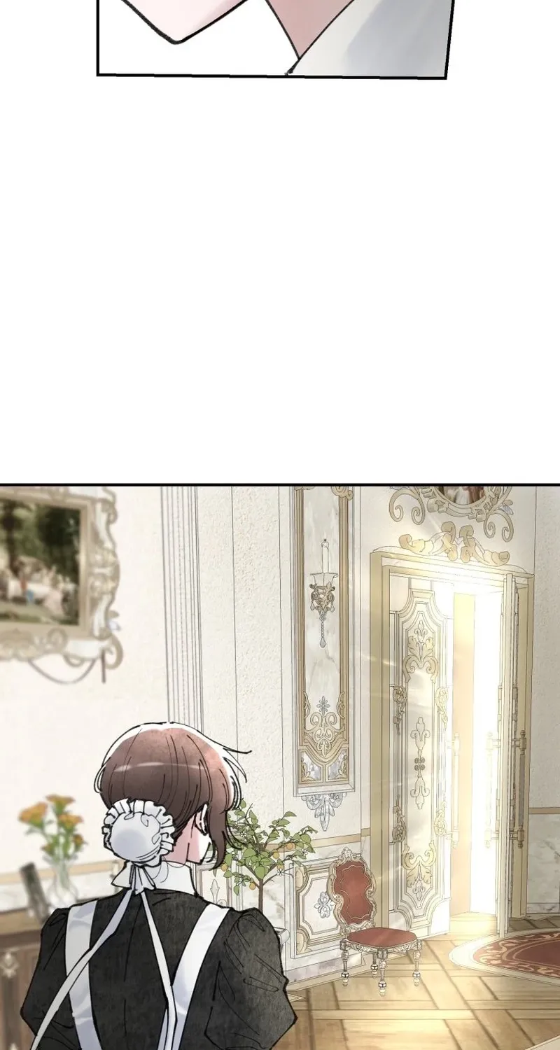 Read The Maid