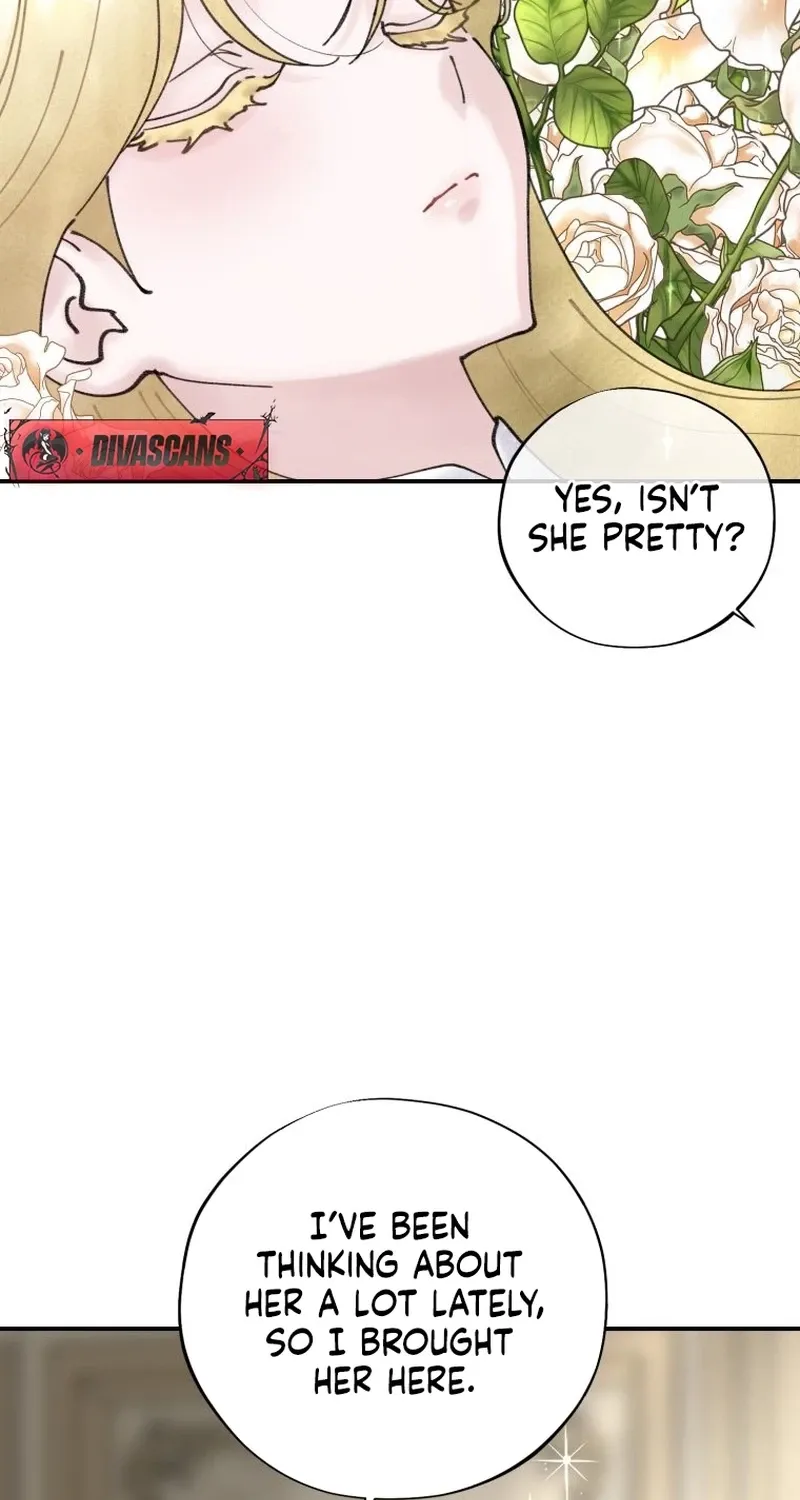 Read The Maid