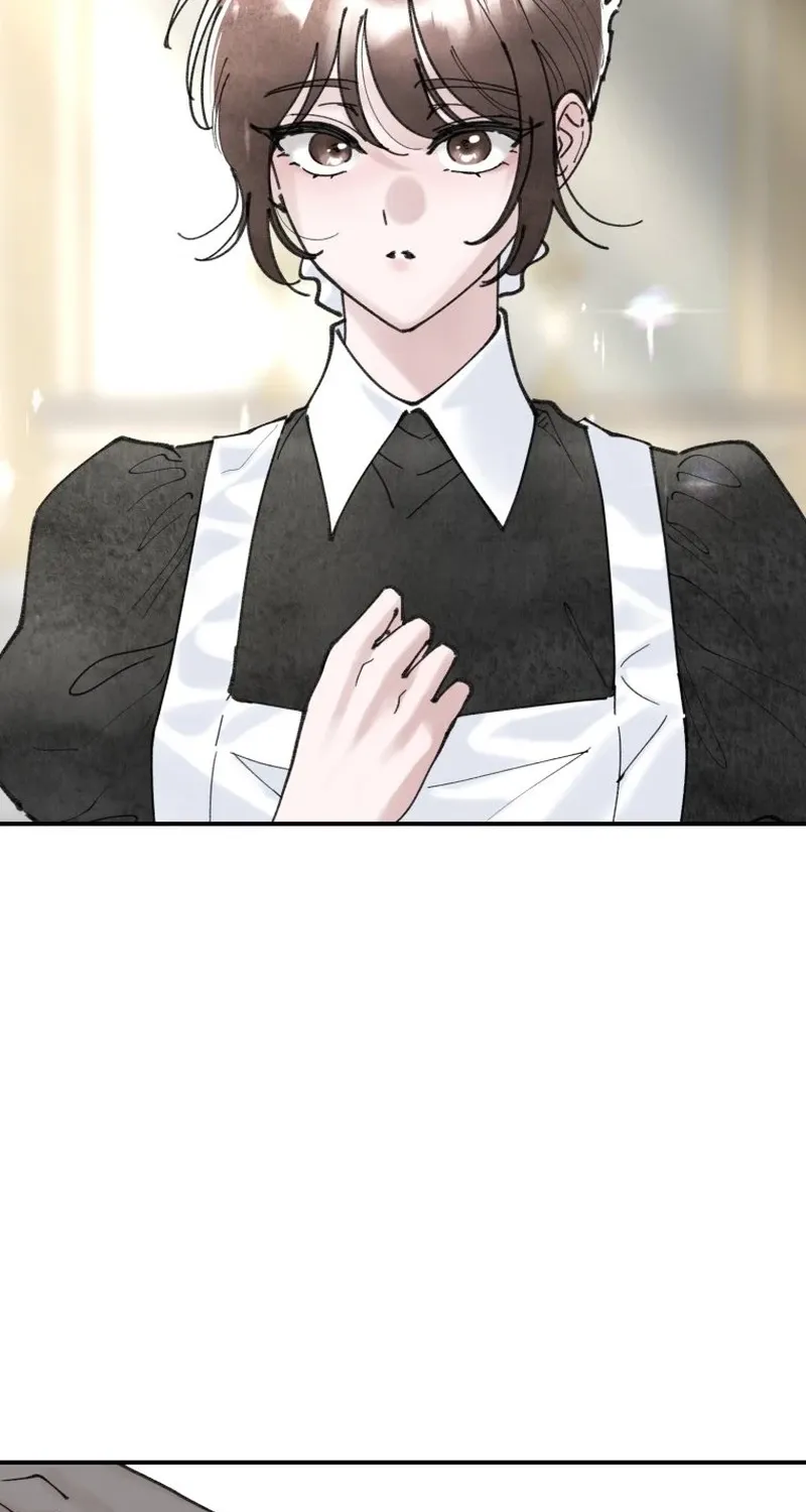 Read The Maid