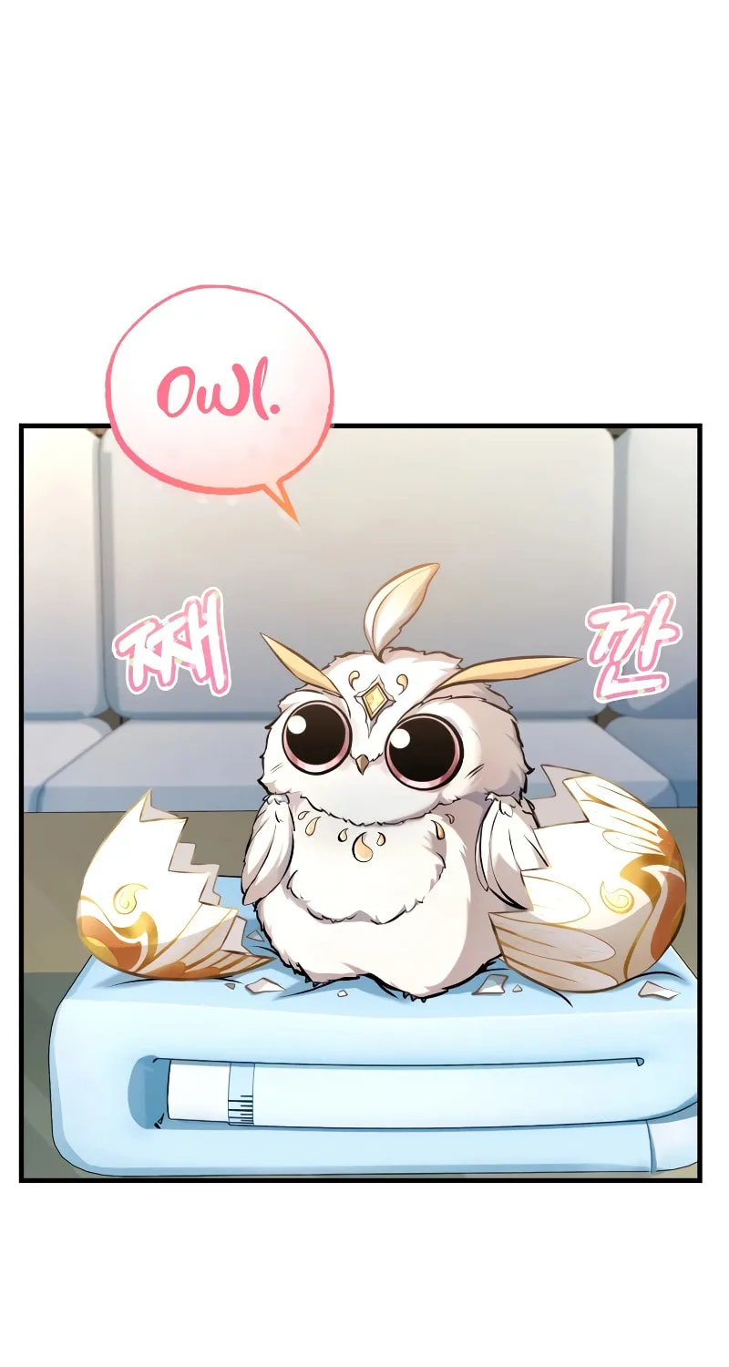 The Main Characters That Only I Know Chapter 16 page 66 - 