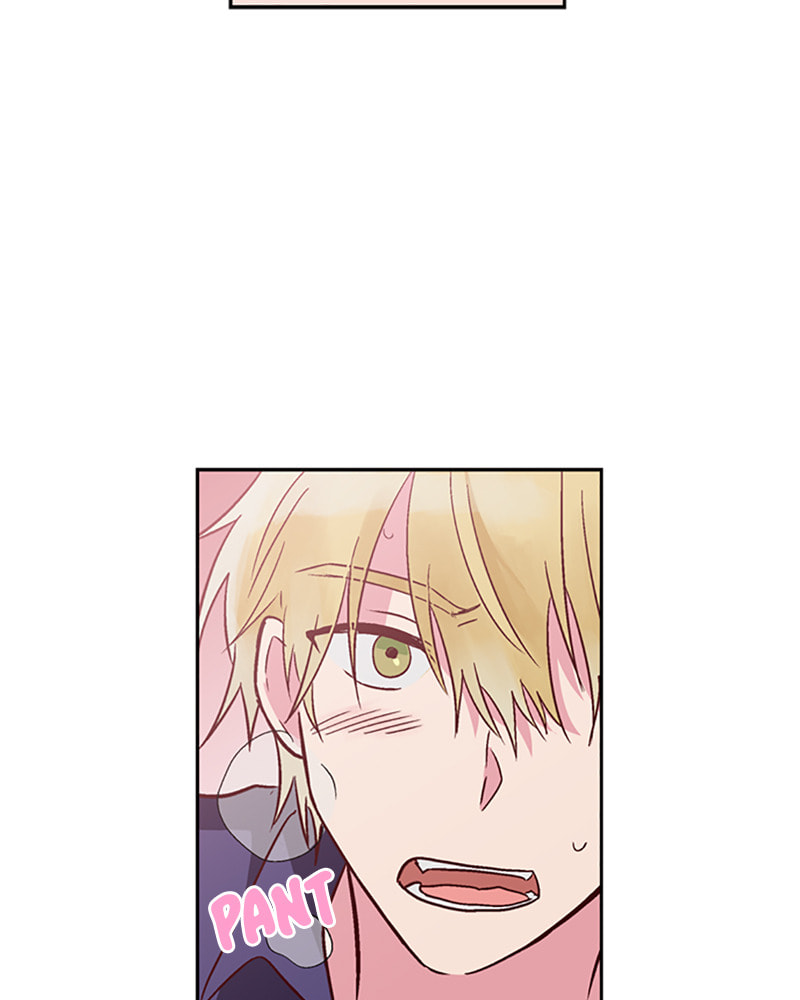 The Makeup Remover Chapter 26 page 36 - 