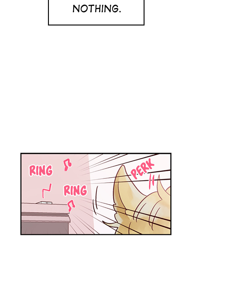 The Makeup Remover Chapter 40 page 49 - 
