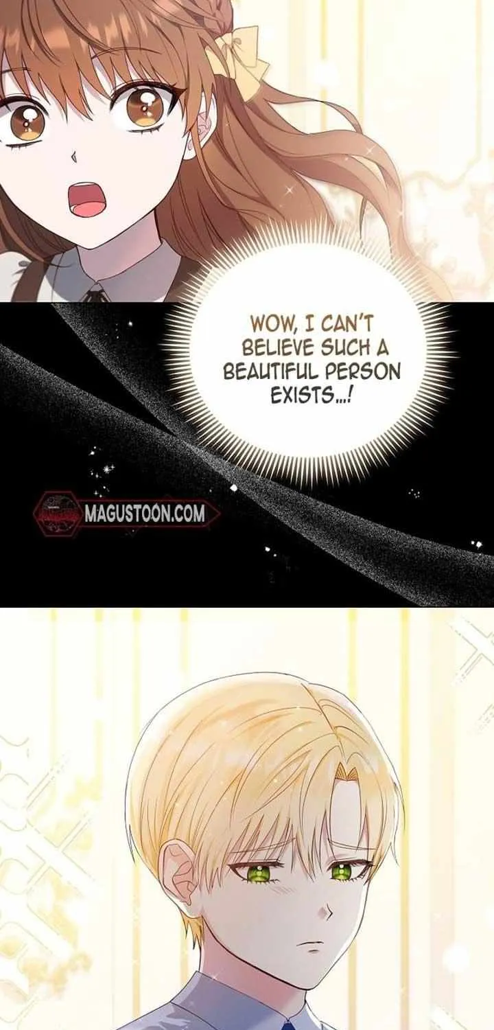 The Male Lead’s Handsomeness Is a Big Problem Chapter 1 page 12 - 