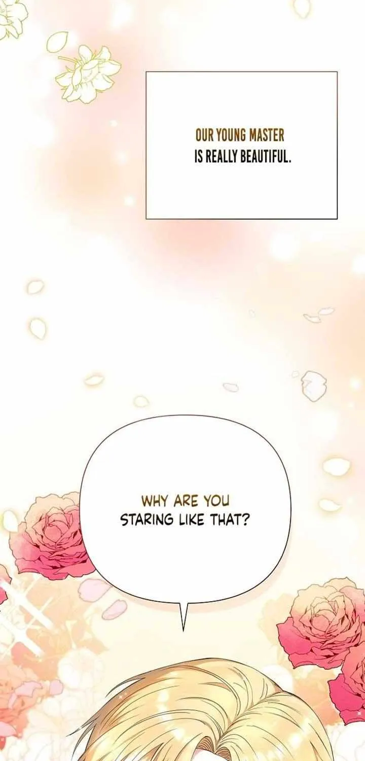 The Male Lead’s Handsomeness Is a Big Problem Chapter 1 page 4 - 