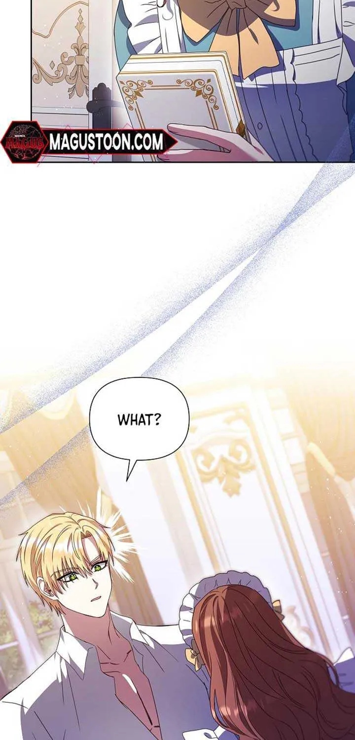 The Male Lead’s Handsomeness Is a Big Problem Chapter 11 page 14 - 
