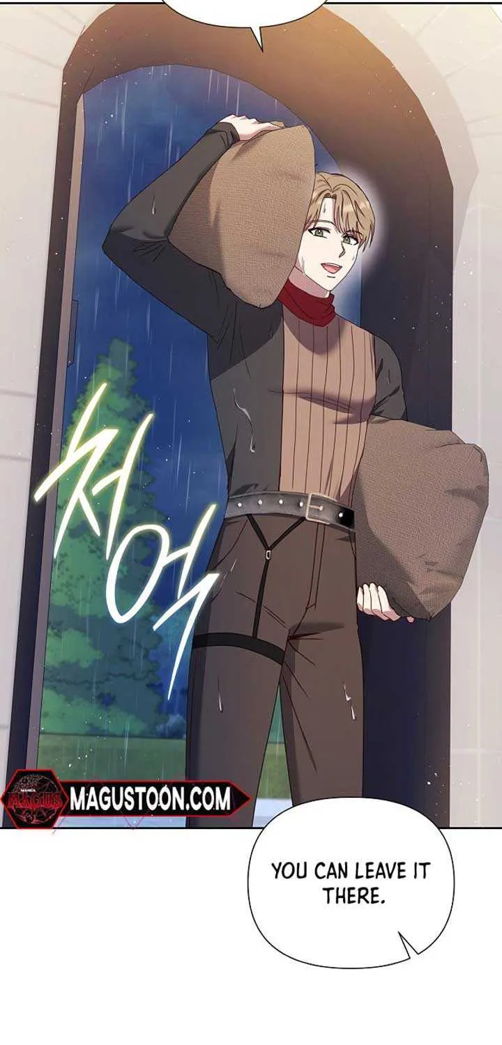 The Male Lead’s Handsomeness Is a Big Problem Chapter 11 page 29 - 