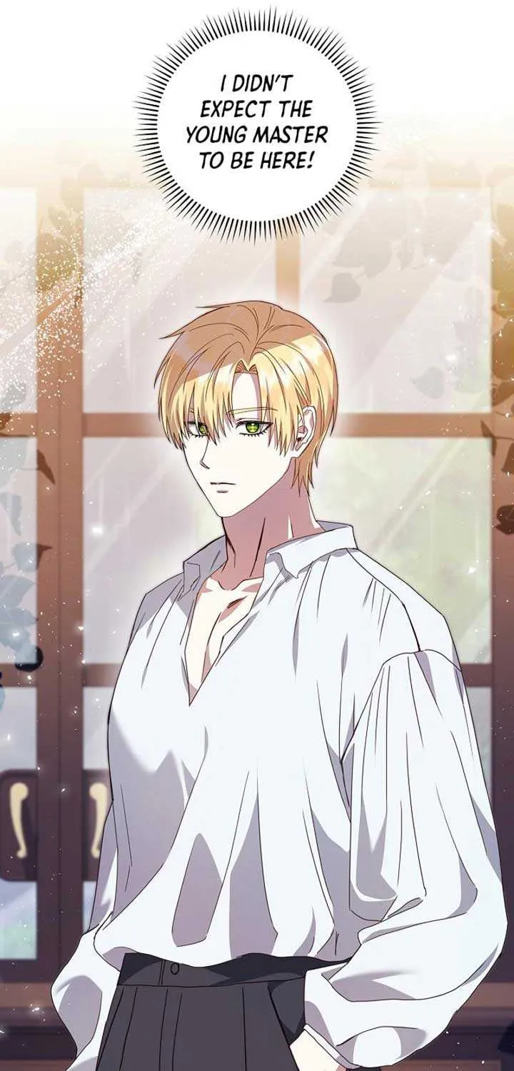 The Male Lead’s Handsomeness Is a Big Problem Chapter 11 page 42 - 