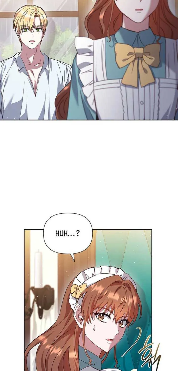 The Male Lead’s Handsomeness Is a Big Problem Chapter 11 page 47 - 