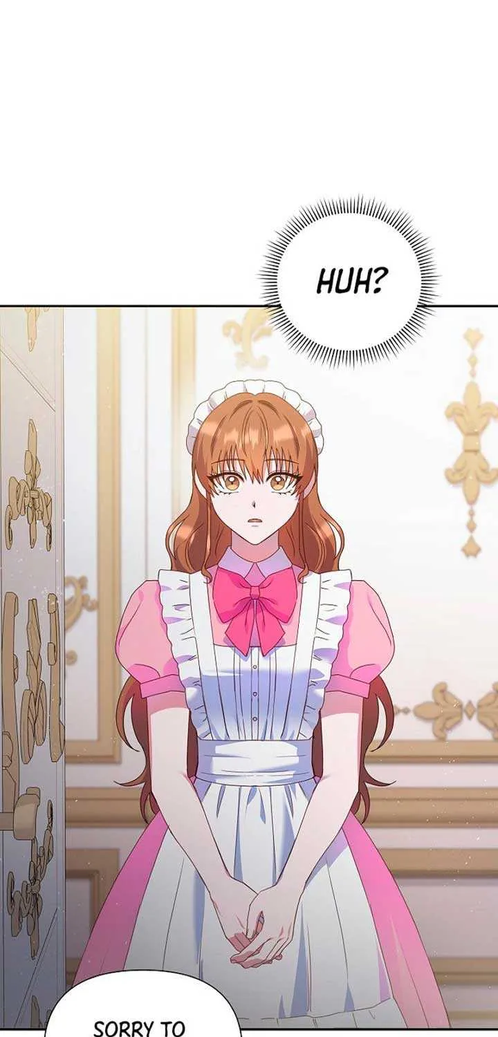 The Male Lead’s Handsomeness Is a Big Problem Chapter 13 page 47 - 