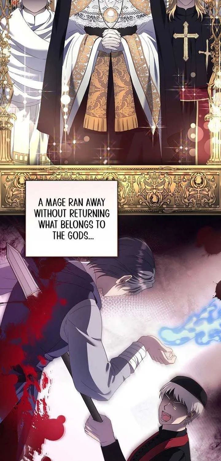 The Male Lead’s Handsomeness Is a Big Problem Chapter 14 page 13 - 