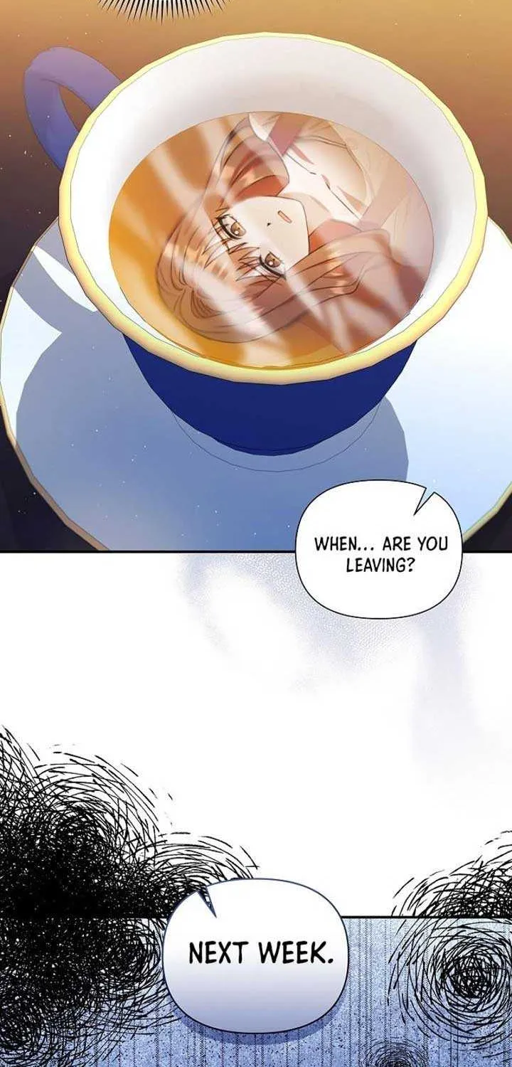 The Male Lead’s Handsomeness Is a Big Problem Chapter 14 page 62 - 
