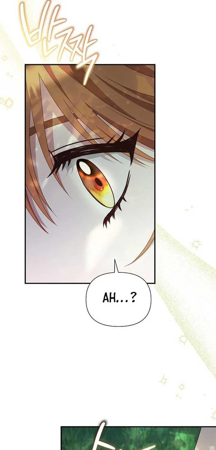 The Male Lead’s Handsomeness Is a Big Problem Chapter 15 page 42 - 
