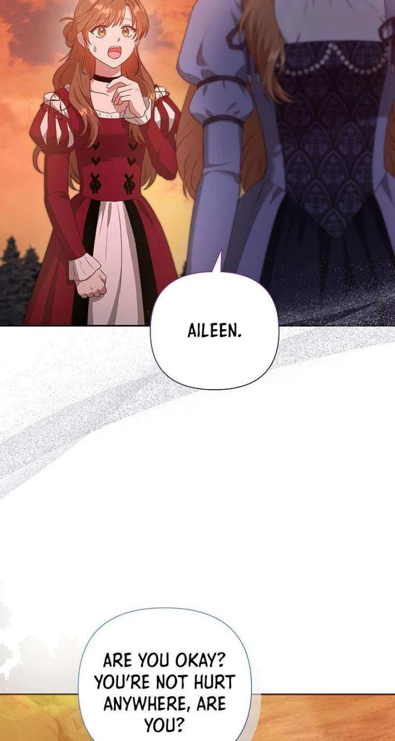 The Male Lead’s Handsomeness Is a Big Problem Chapter 33 page 14 - 