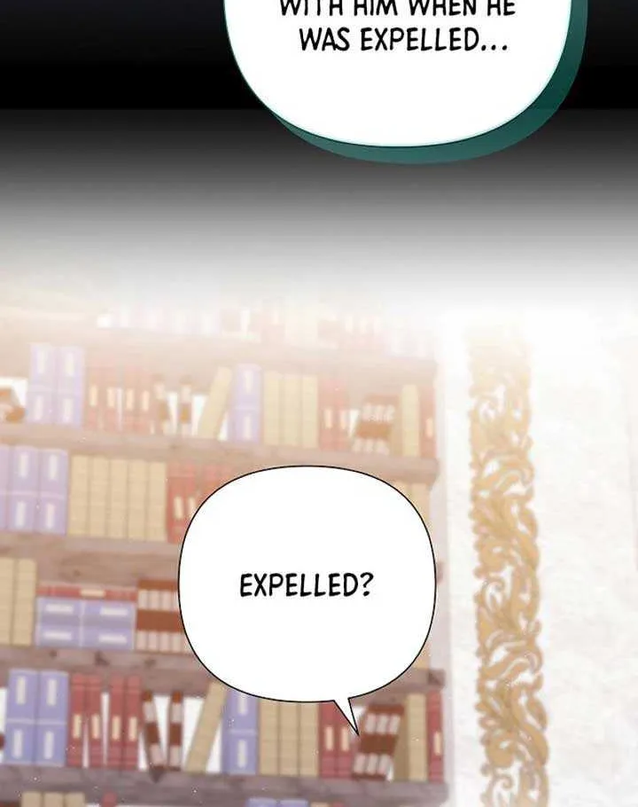 The Male Lead’s Handsomeness Is a Big Problem Chapter 35 page 30 - 